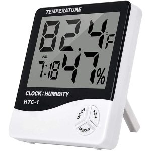 digital thermometer 